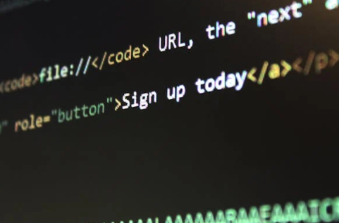 從零到一：打造高性能網(wǎng)站的完整技術(shù)指南